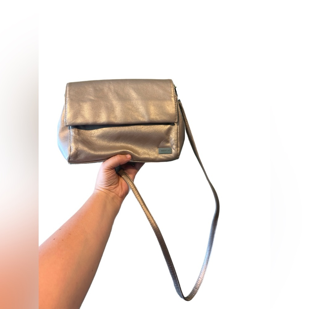 Colletta Handbag Metallic silver